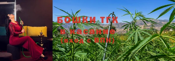 гашик Надым