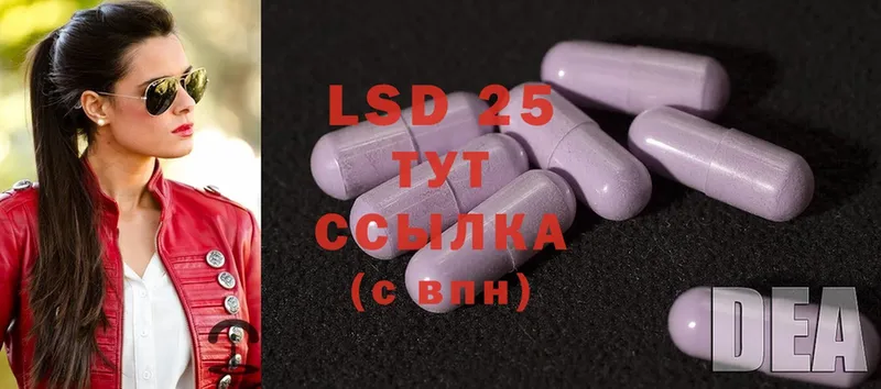 магазин    hydra вход  LSD-25 экстази кислота  Кашин 