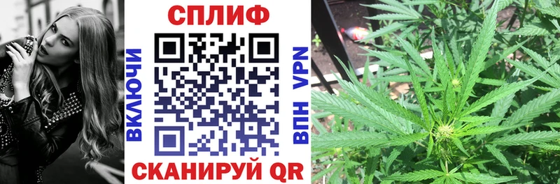 Бошки марихуана Bruce Banner  MEGA ONION  Кашин 